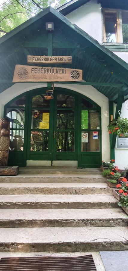 Feherkolapa Turistahaz Panzio Lillafured Exterior photo